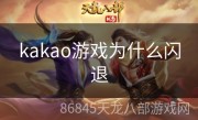 kakao游戏为什么闪退