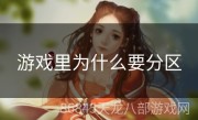 游戏里为什么要分区