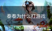 泰泰为什么打游戏